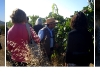 019_vina_caliboro_2502 019_vina_caliboro_2502